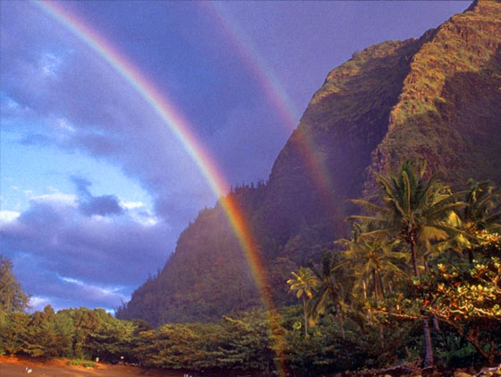 It's a double rainbow all the way!